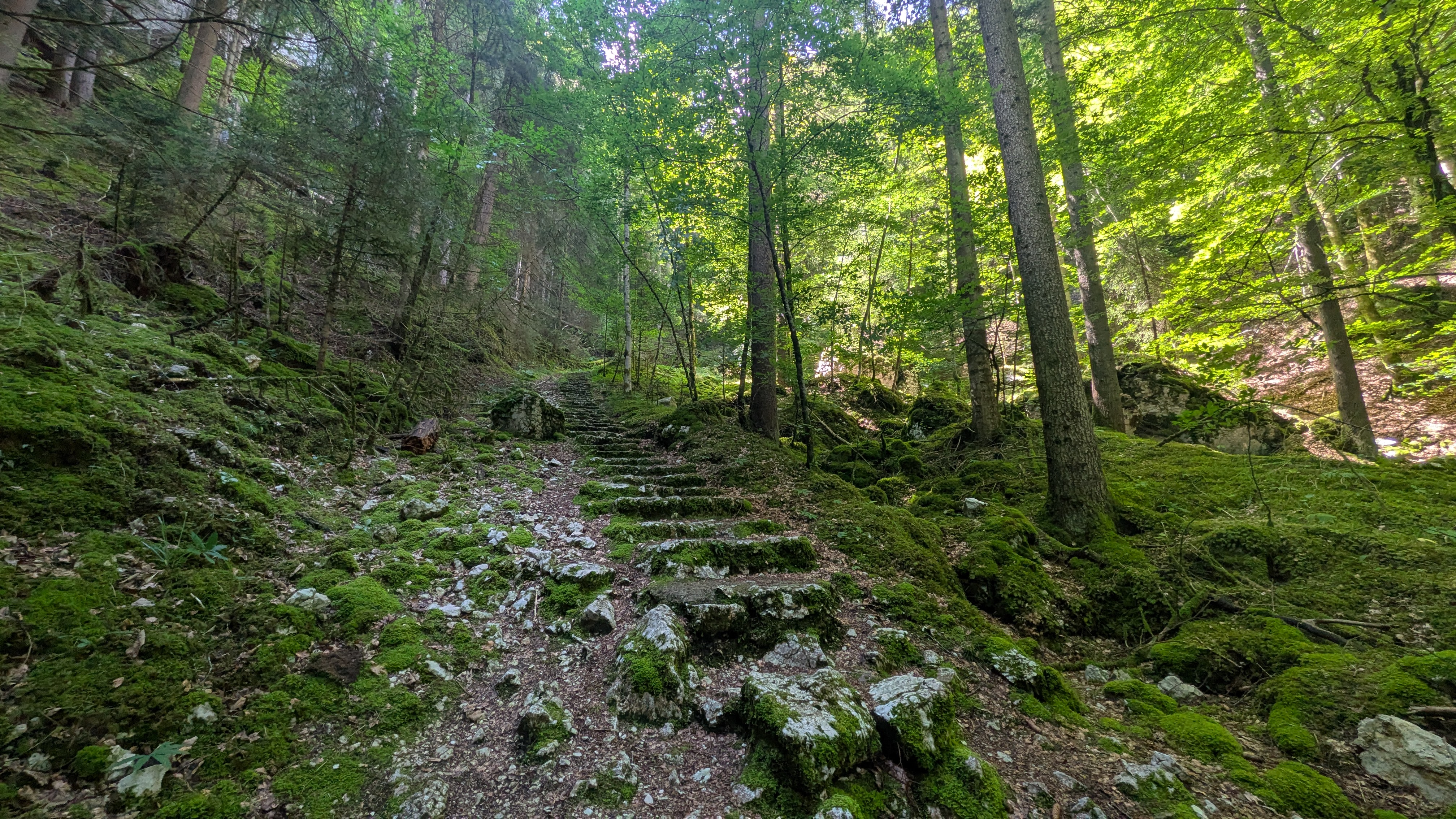 Sentiers de la nature